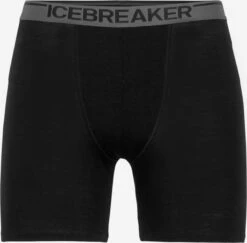 Icebreaker Pants Sportondergoed Heren Zwart