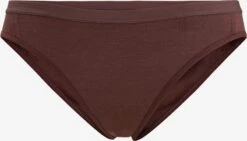 Icebreaker Ondergoed Sportondergoed Siren Dames Bruin