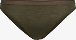 Icebreaker Ondergoed Sportondergoed Siren Dames Donkergroen