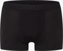 Icebreaker Pants Sportondergoed Anatomica Heren Zwart