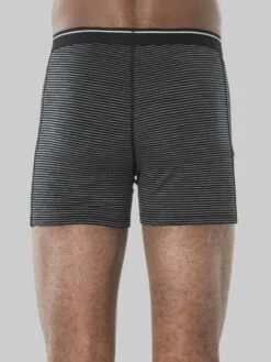 Icebreaker Onderbroeken Sportondergoed Anatomica Heren Grijs -Icebreaker 5f44b33c48065d300af719a62d70e3c4