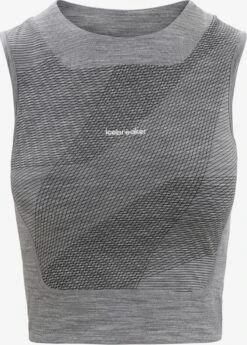 Icebreaker Tops Sporttop GEODETIC Dames Grijs Gemêleerd