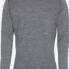 Icebreaker Shirts Basislaag 200 Oasis Heren Stone Grey -Icebreaker 762df9bbabcfce468b77a6cd0d82db64