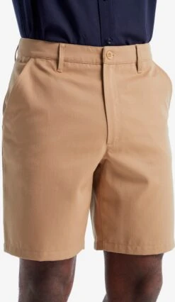 Icebreaker Shorts Regular Outdoorbroek Berlin Heren Sand