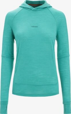Icebreaker Truien & Sweaters Sportief Sweatshirt Dames Jade Groen