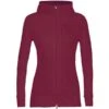 ICEBREAKER QUANTUM III LS ZIP HOOD CHERRY 23 -Icebreaker 9 116059 quantum iii ls zip hood cherry ib0a59jw 553 01