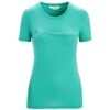 ICEBREAKER MERINO W TECH LITE II SS TEE CADENCE PATHS FRESH 23 -Icebreaker 9 124938 ib0a56np733 01