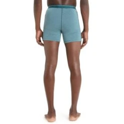 ICEBREAKER MERINO M ANATOMICA BOXERS GREEN GLORY/ASTRAL BLUE/S 23 11 ICEBREAKER MERINO M ANATOMICA BOXERS GREEN GLORY/ASTRAL BLUE/S 23 -Icebreaker 9 124967 ib103029799 04