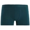 ICEBREAKER MERINO M ANATOMICA COOL-LITE BOXERS GREEN GLORY 23 -Icebreaker 9 124974 ib105246728 01