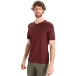 ICEBREAKER M 200 OASIS SS CREWE ESPRESSO 23 -Icebreaker 9 128561 ib104509064 03