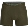 ICEBREAKER MERINO ANATOMICA BOXERS LODEN 23 -Icebreaker 9 95521 anatomica boxers loden ib103029069 01