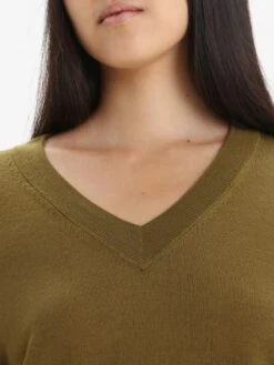 Icebreaker Truien & Sweaters Sporttrui Wilcox Dames Bruin -Icebreaker ae2974d4071a51469337d3f593824500