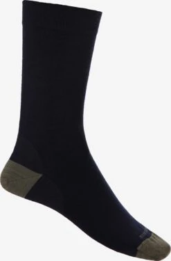 Icebreaker Sokken & Kousen Sokken Dames Blauw