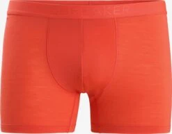 Icebreaker Pants Sportondergoed Anatomica Heren Oranje