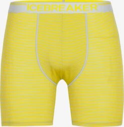 Icebreaker Pants Sportondergoed Anatomica Heren Geel