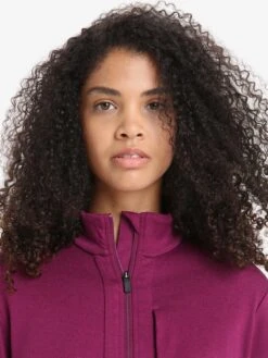 Icebreaker Truien & Sweaters Sportief Sweatvest Quantum III Dames Bessen -Icebreaker d104d310bcd3eab6de5981374ed2cb81