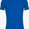 Icebreaker T-shirts Functioneel Shirt Anatomica Heren Blauw -Icebreaker e056ecfa79ed5ae196750de881c914ff