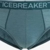 Icebreaker Onderbroeken Sportondergoed Anatomica Heren Pastelgroen / Donkergroen -Icebreaker ec1794d8c0ef73181afd11bb27872992