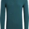 Icebreaker Longsleeves Functioneel Shirt 260 Heren Groen -Icebreaker fd2e8a20ef5cdfdbaa26b99fdbf8329b