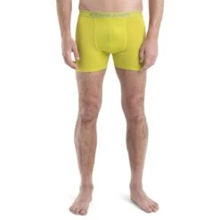 Icebreaker Anatomica Boxershort Heren - Bio Lime -Icebreaker icebreaker mens anatomica boxers bio lime model 1 1498588