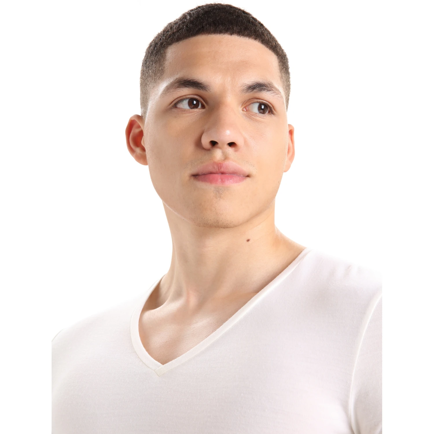 Icebreaker Anatomica V Hemd Met Korte Mouwen Heren - Snow 7 Icebreaker Anatomica V Hemd Met Korte Mouwen Heren - Snow - Afbeelding 5